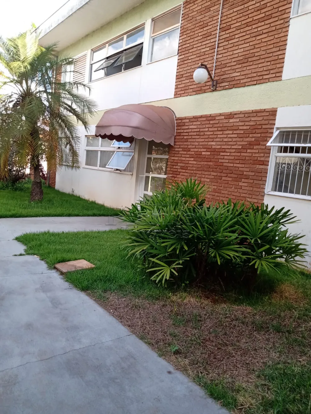 Apartamento - Jardim Paulista - Ribeirão Preto