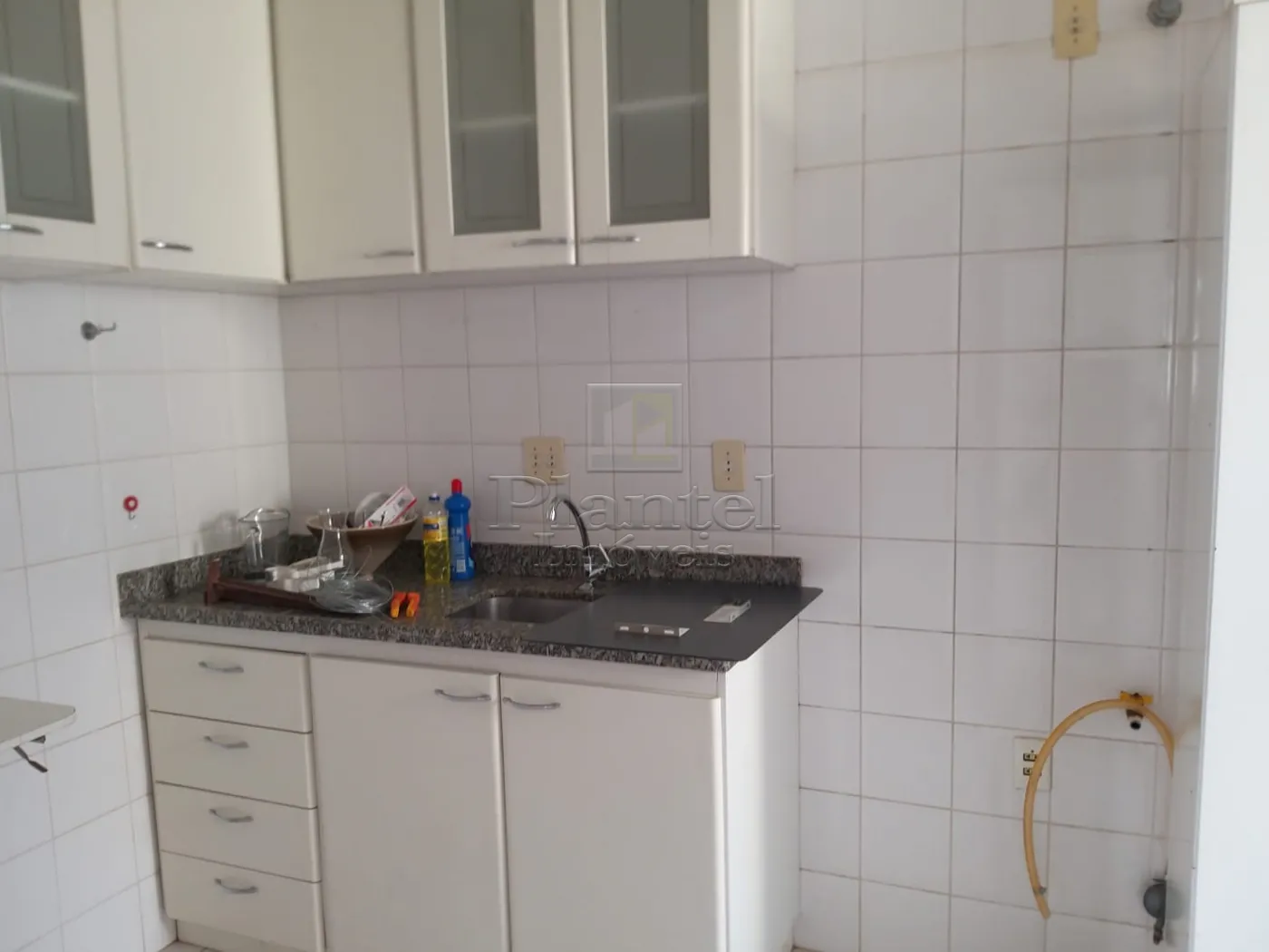 Imobiliária Ribeirão Preto - Plantel Imóveis - Apartamento - VILA ANA MARIA - Ribeirão Preto