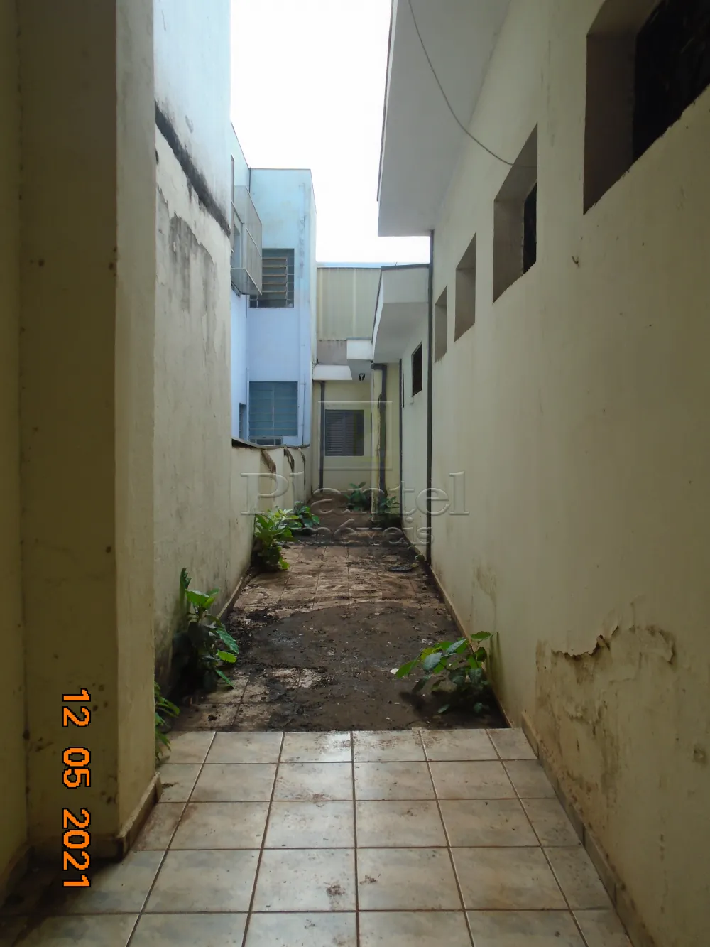 Imobiliária Ribeirão Preto - Plantel Imóveis - Casa - Centro - Ribeirão Preto