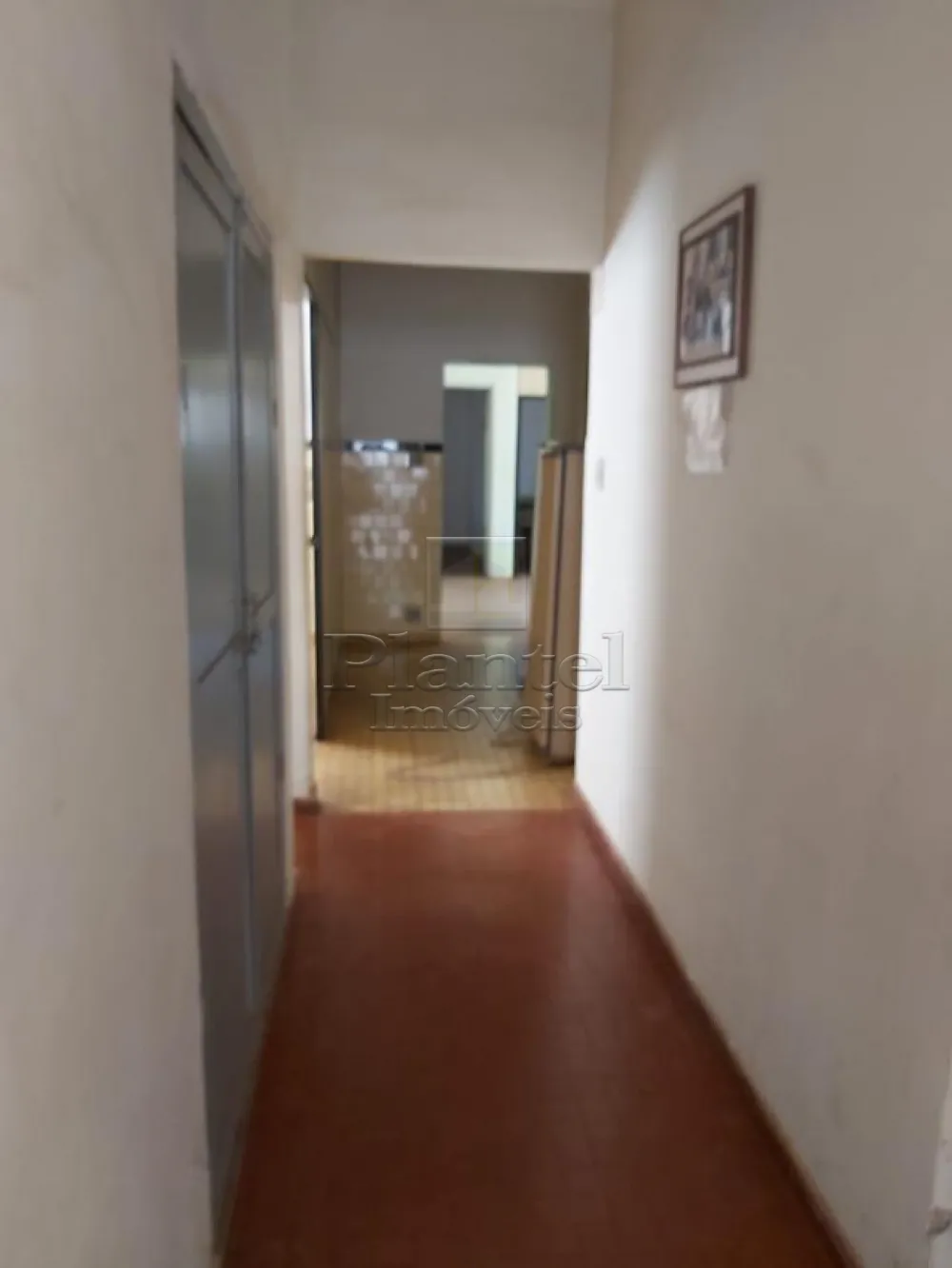 Imobiliária Ribeirão Preto - Plantel Imóveis - Casa - Centro - Ribeirão Preto