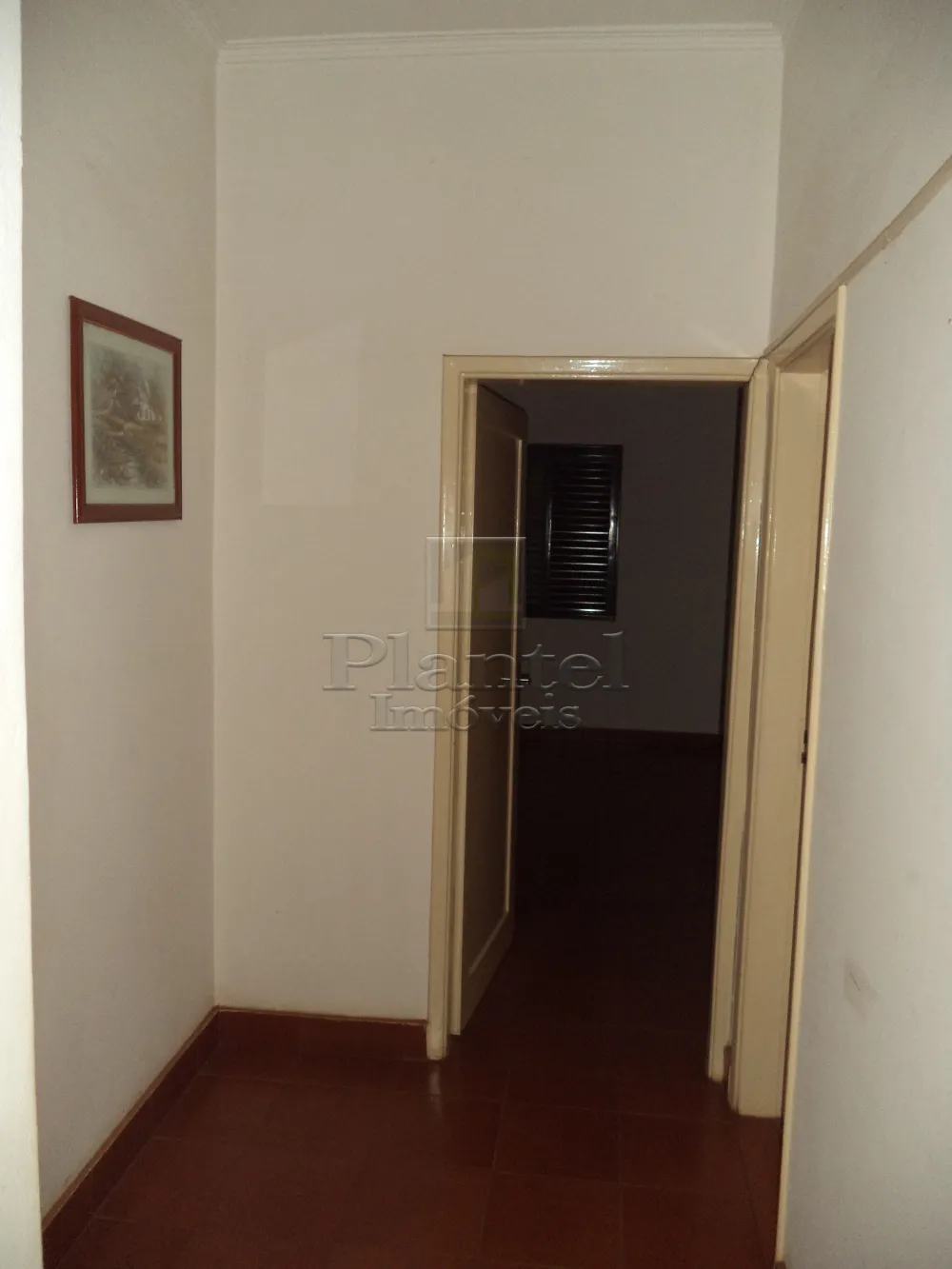 Imobiliária Ribeirão Preto - Plantel Imóveis - Casa - Centro - Ribeirão Preto