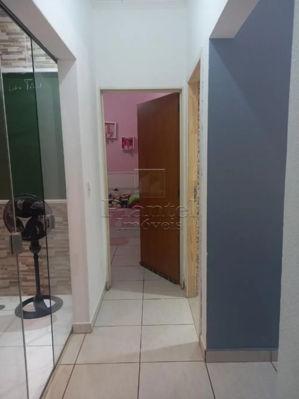 Imobiliária Ribeirão Preto - Plantel Imóveis - Casa - Vila Albertina - Ribeirão Preto
