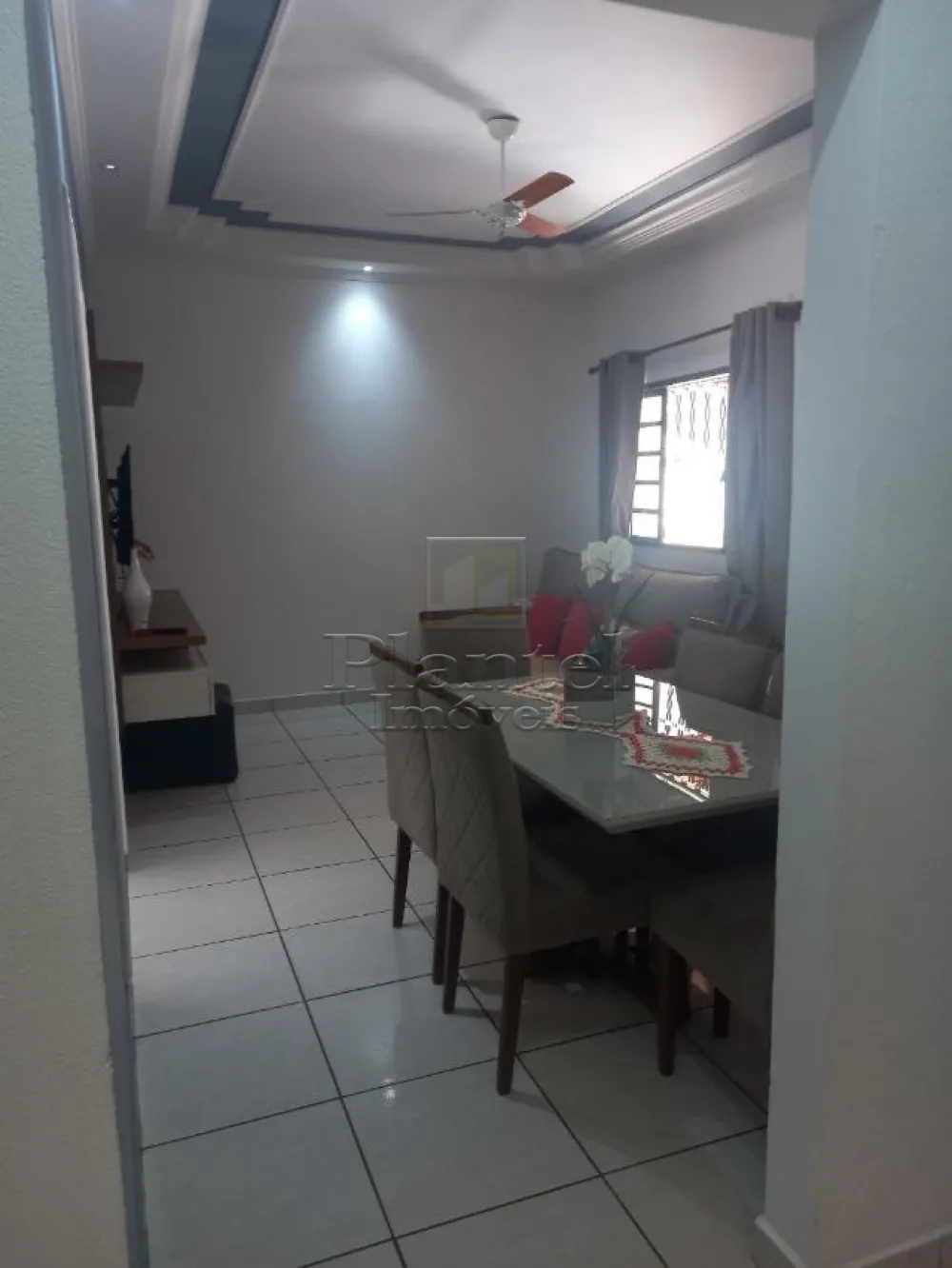 Imobiliária Ribeirão Preto - Plantel Imóveis - Casa - Vila Albertina - Ribeirão Preto