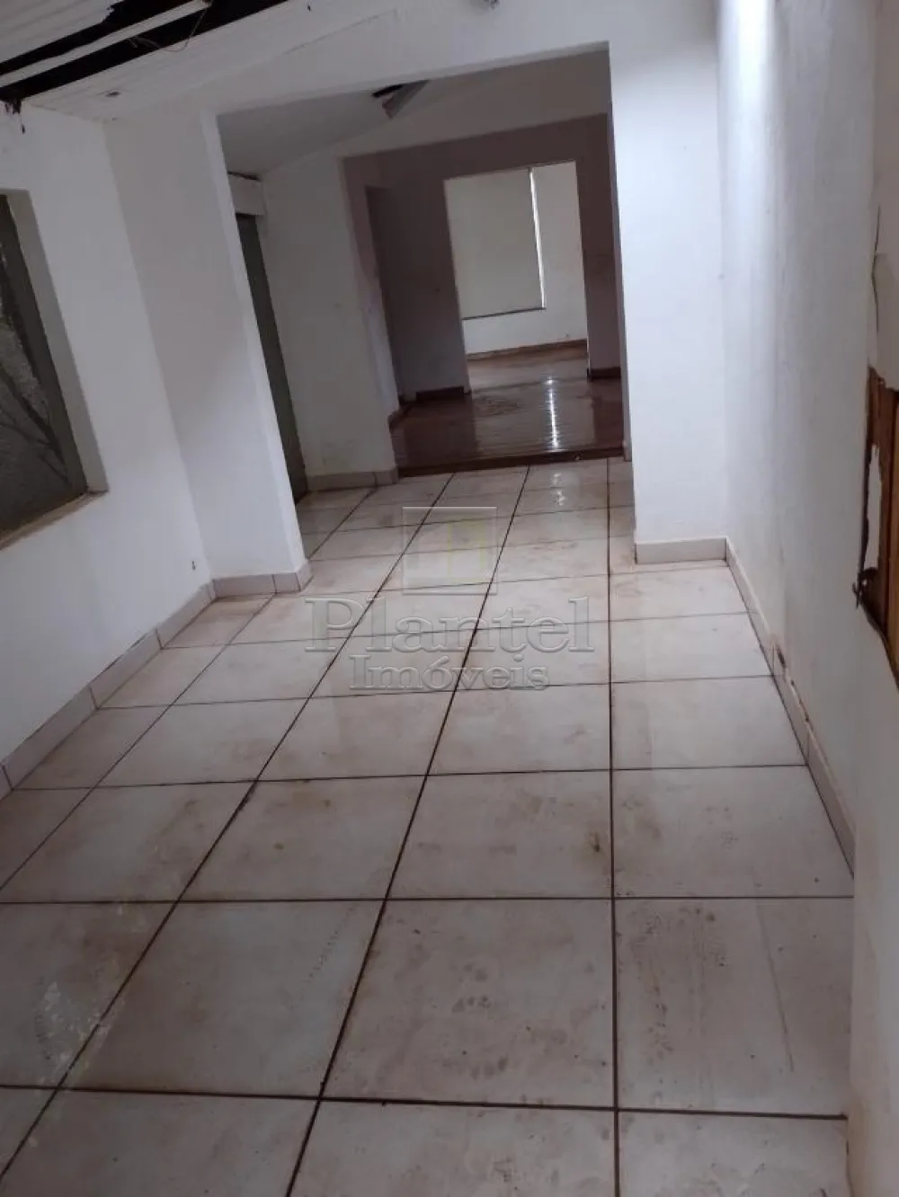 Comercial - Centro - Ribeirão Preto