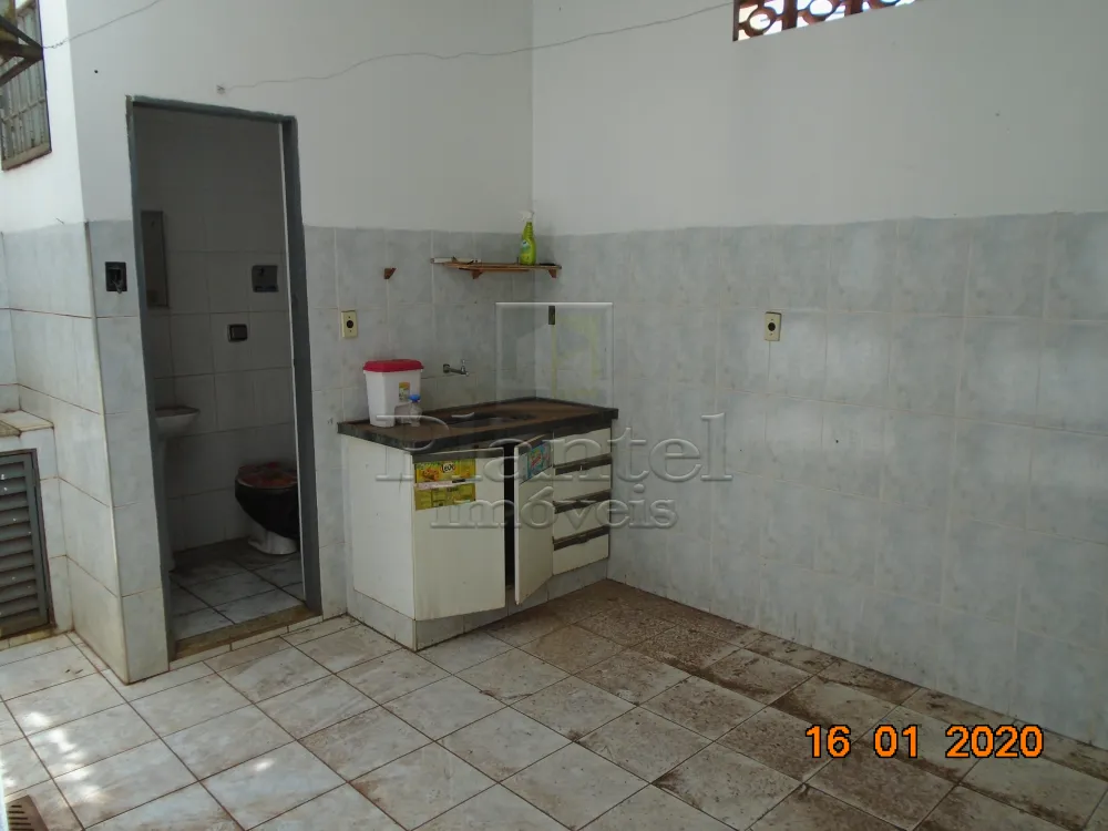 Imobiliária Ribeirão Preto - Plantel Imóveis - Salão Comercial - Campos Eliseos - Ribeirão Preto