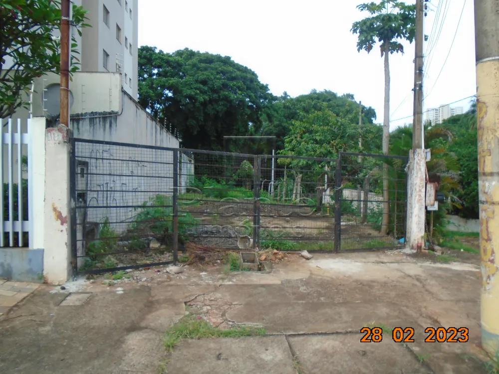 Imobiliária Ribeirão Preto - Plantel Imóveis - Terreno - Jardim Palma Travassos - Ribeirão Preto