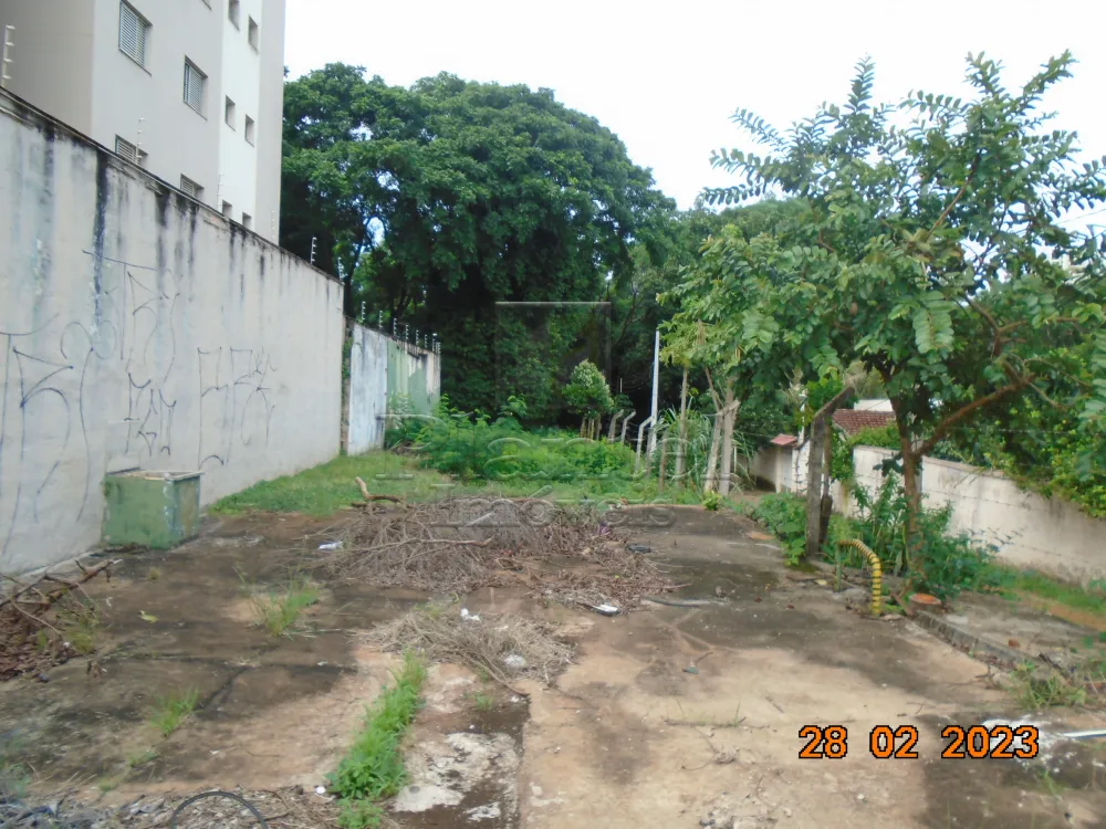 Imobiliária Ribeirão Preto - Plantel Imóveis - Terreno - Jardim Palma Travassos - Ribeirão Preto