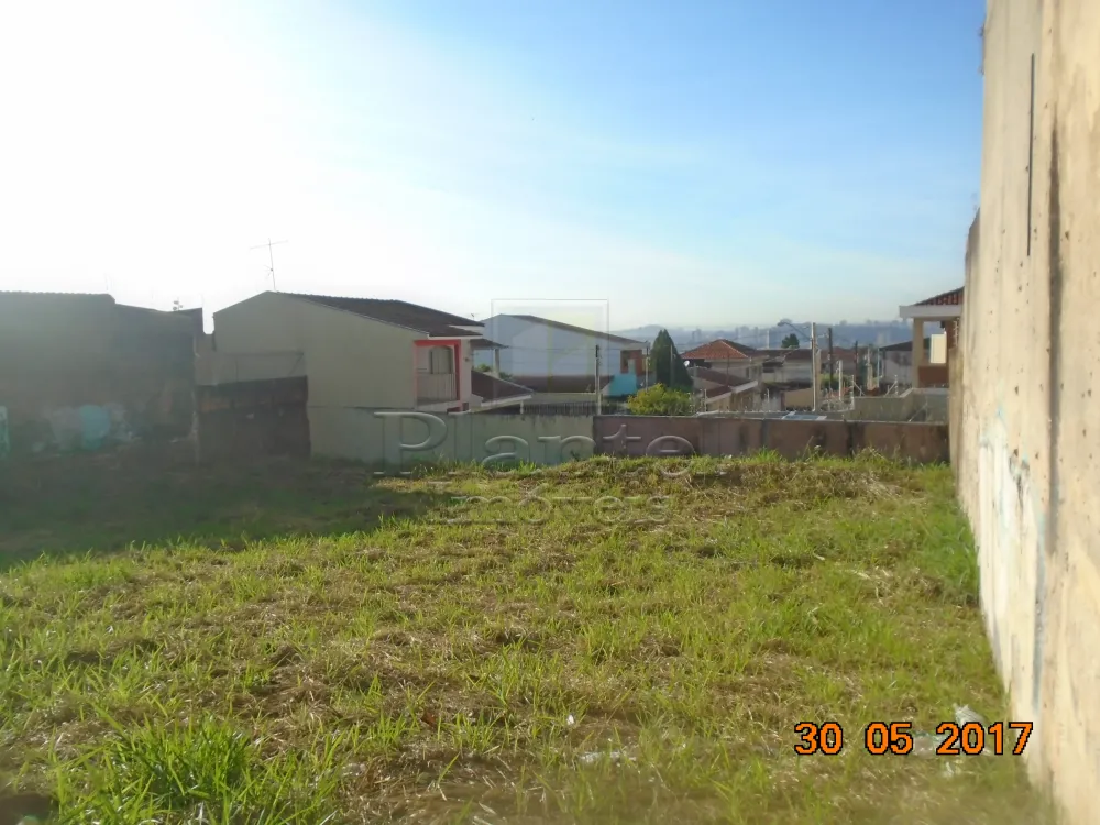 Imobiliária Ribeirão Preto - Plantel Imóveis - Terreno - Ipiranga - Ribeirão Preto