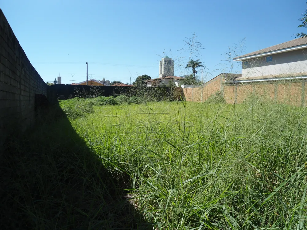 Imobiliária Ribeirão Preto - Plantel Imóveis - Terreno - Ribeirânia - Ribeirão Preto