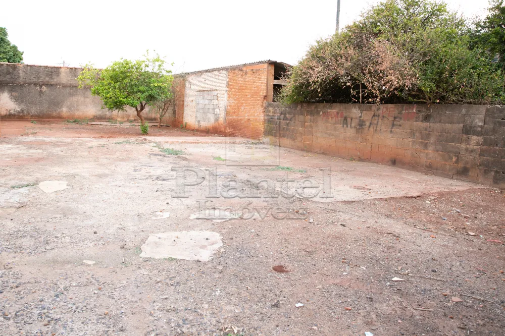 Imobiliária Ribeirão Preto - Plantel Imóveis - Casa - Vila Abranches - Ribeirão Preto